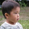名前の由来の画像