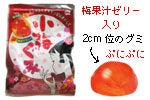 小梅グミ