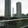 東雲の画像