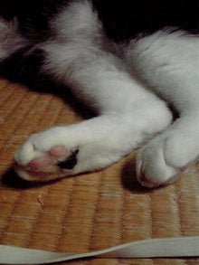 2008090222040000.jpg