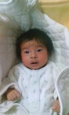 大樹くん頑張れ！成長ブログ