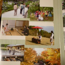 画像 紅葉？ の記事より 6つ目