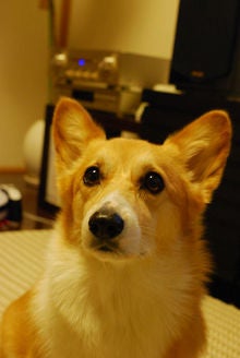 yuuのブログ-image0110.jpg