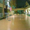 インドア・・☆の画像