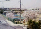 200804051213000.jpg