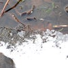 気づかぬところでは・・・の画像