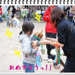 画像 【わんわん運動会ｉｎ２００８！！】Part４ の記事より 9つ目