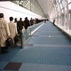 2009/01/29の画像