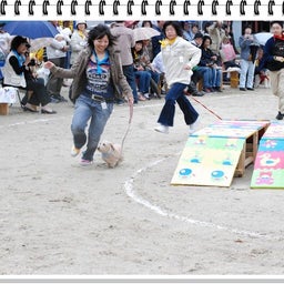 画像 【わんわん運動会！！ｉｎ２００８】Part２♪ の記事より 17つ目