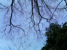 200701231231000.jpg