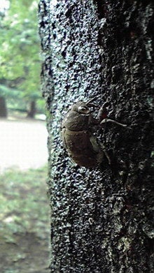 2008081112250000.jpg