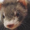 これが噂の。。。？の画像