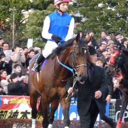ウマキュン！！！-ブルーコンコルドと幸騎手