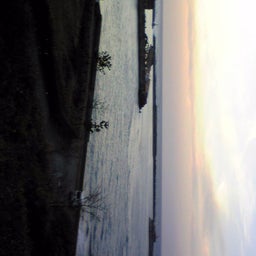 ﾊﾞｰﾄﾞ☆のぐだぐた日記-Image0681.jpg