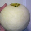 何ですかコレ？！の画像