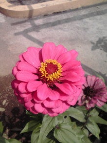 2008091711260000.jpg