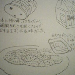 ナンとパン