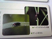 080721_2300~01_Ed.JPG