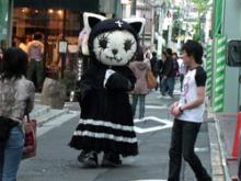 blackdresscat