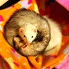 ありがとうございま～す♪の画像