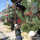 松本城に特大の門松　早くも新年の雰囲気の記事より