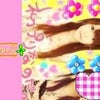 しばらくおやすみしますоの画像
