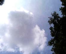 P1080117.jpg