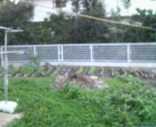 200811011621000.jpg