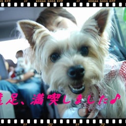 画像 ２００８年　遠足♪　土岐プレミアムアウトレット！！ の記事より 21つ目