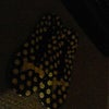 2009/01/24の画像