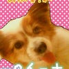 ﾌﾟﾁだょｰ(*´ω｀)ﾟ･*:の画像
