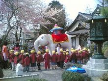ｈａｎａｍａｔｕｒｉ