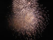 hanabi-1