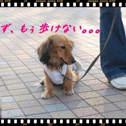 画像 ２００８年　遠足♪　土岐プレミアムアウトレット！！ の記事より 10つ目