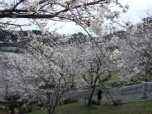 菊池公園③