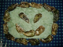 生牡蠣