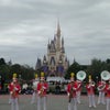 ディズニーランドの画像