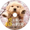 犬と私の10の約束の画像