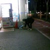 さっぽろさんの画像