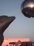 ノシャップ