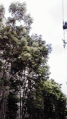 2008080113280000.jpg