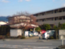 行動経済学とグルメのブログ-20081204134820.jpg