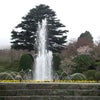 贅沢な強羅旅行 vol.1の画像