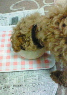 200802211932000.jpg