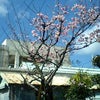 休憩を終えての画像