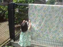 20080621000327.jpg