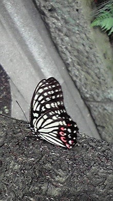 2008080710190002.jpg