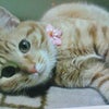 最終章。の画像
