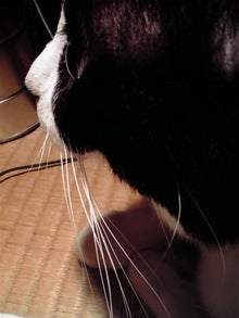 2008092001390000.jpg