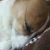 寝相の画像
